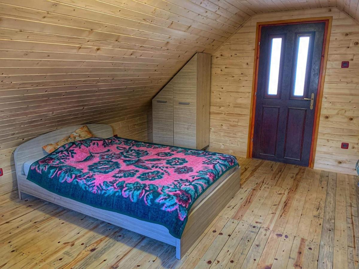 Villa Brvnare Cirkovic Zlatibor Exterior foto