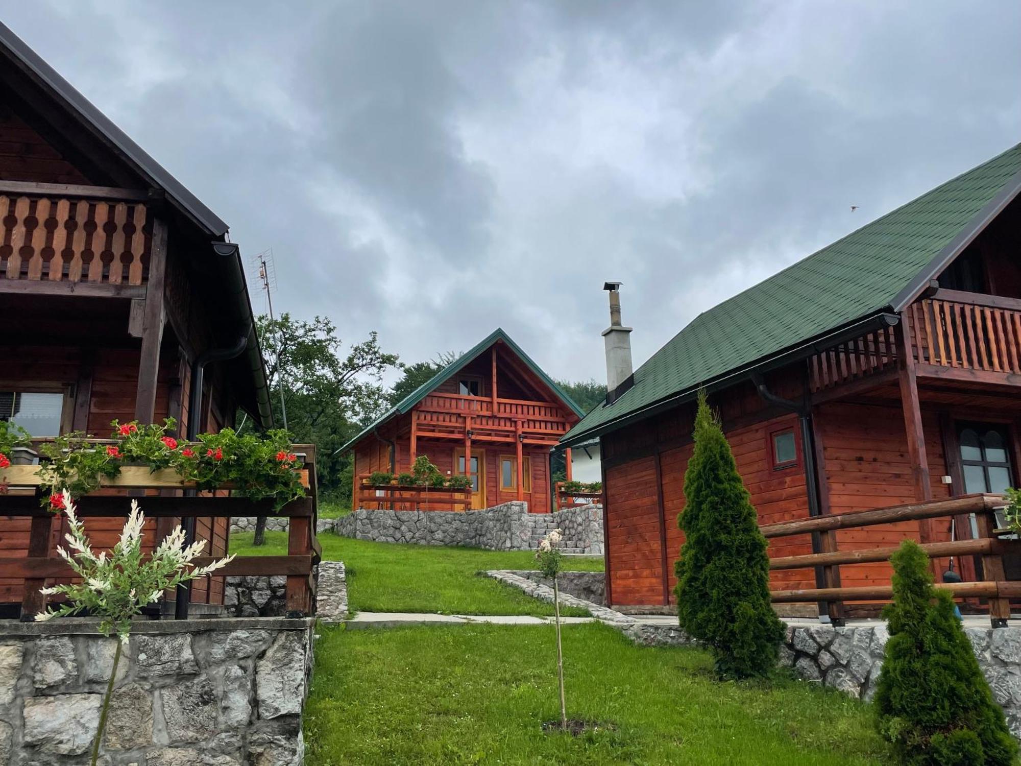 Villa Brvnare Cirkovic Zlatibor Exterior foto