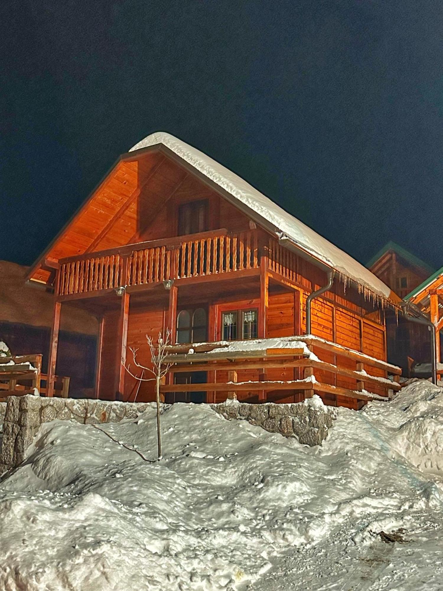 Villa Brvnare Cirkovic Zlatibor Exterior foto