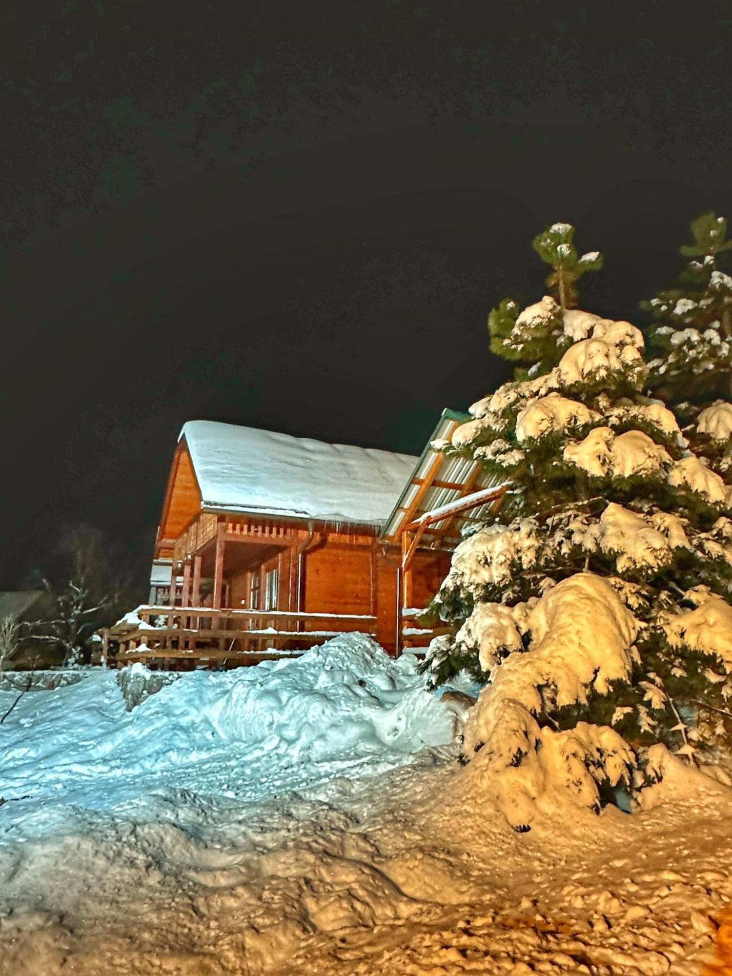 Villa Brvnare Cirkovic Zlatibor Exterior foto
