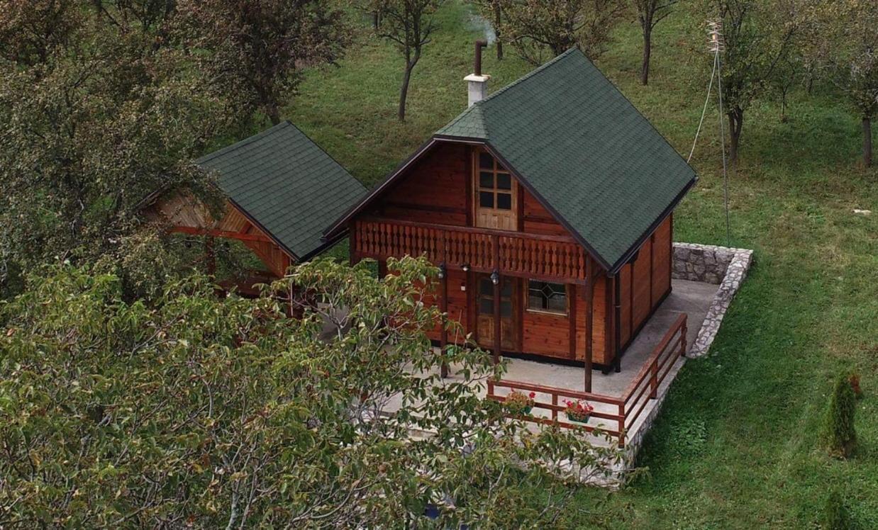 Villa Brvnare Cirkovic Zlatibor Exterior foto