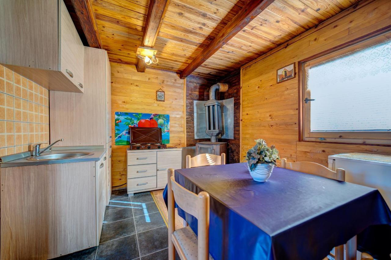 Villa Brvnare Cirkovic Zlatibor Exterior foto