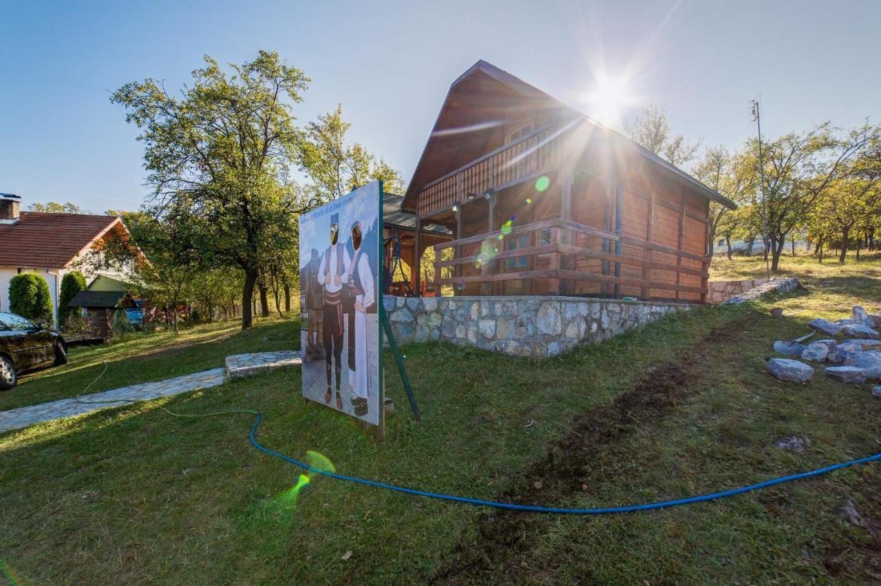 Villa Brvnare Cirkovic Zlatibor Exterior foto