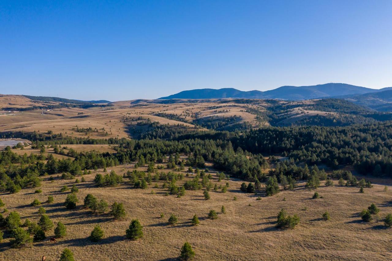 Villa Brvnare Cirkovic Zlatibor Exterior foto